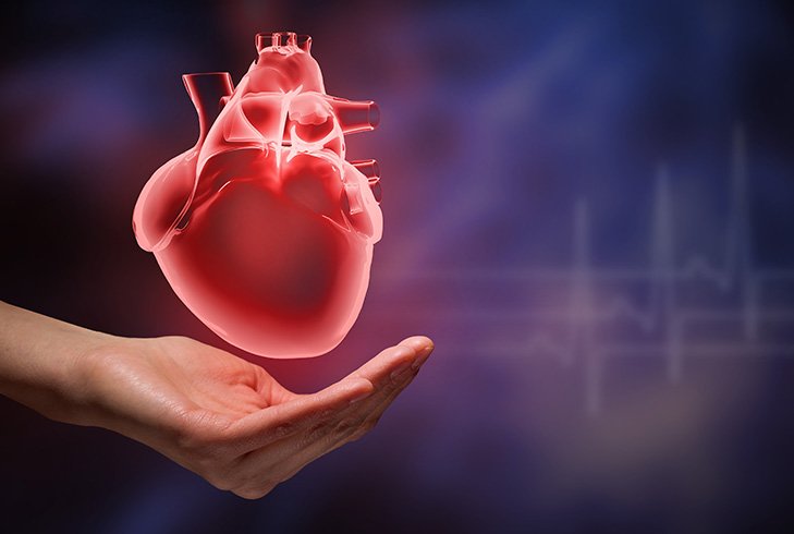Heart in VR school workshops